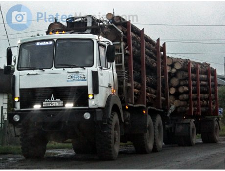 н809ов196, MAZ 6317