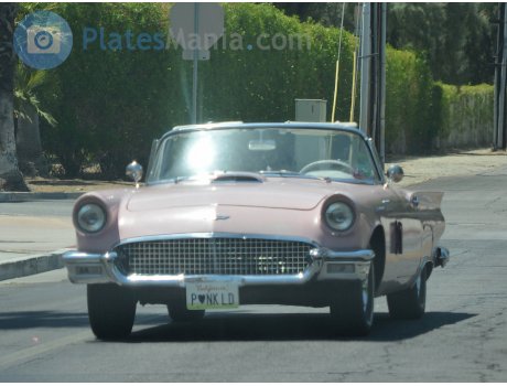 P$NK LD, Ford Thunderbird