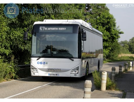 GV-964-WG, Iveco Crossway