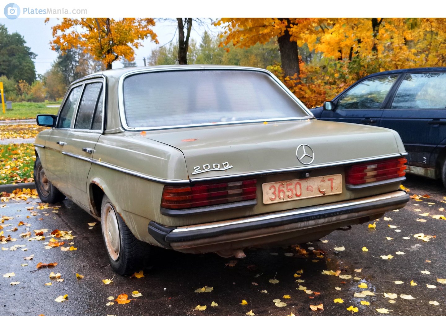 3650 CT, Mercedes-Benz E-Klasse 200–300 Sedan (W123), 1975­–1986