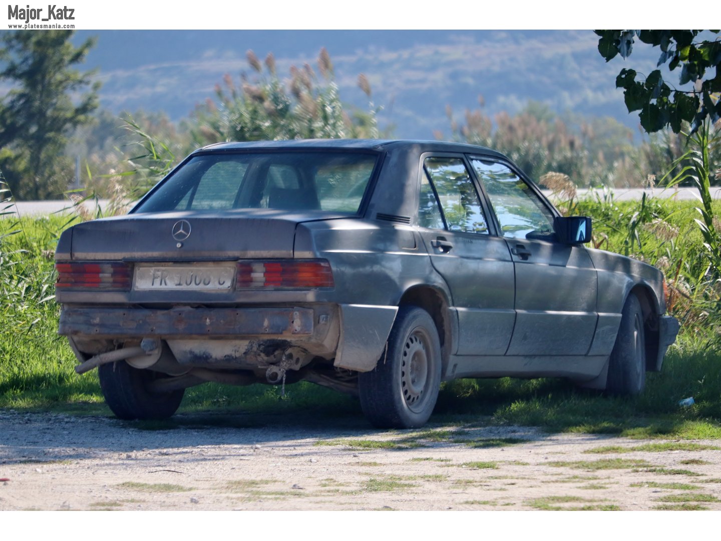 FR 1008 C, Mercedes-Benz C-Klasse 190 Sedan (W201), 1982–1993