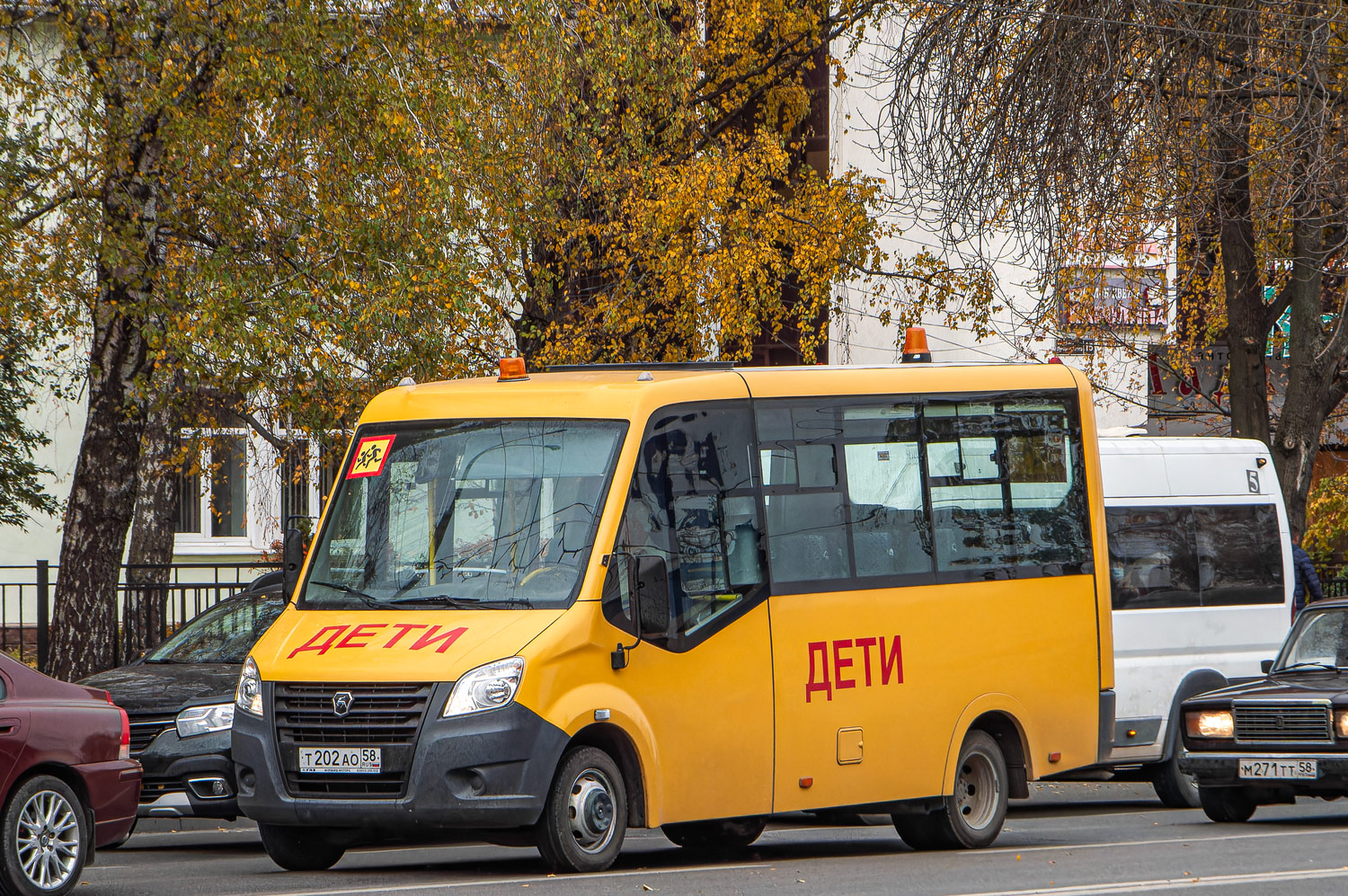 т 202 ао 58, GAZ ГАЗель Next Citiline School Bus (A67), 2014–