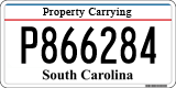 South Carolina, Property Carrying (P123456)