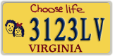Virginia, Specialty plates (1234AB)