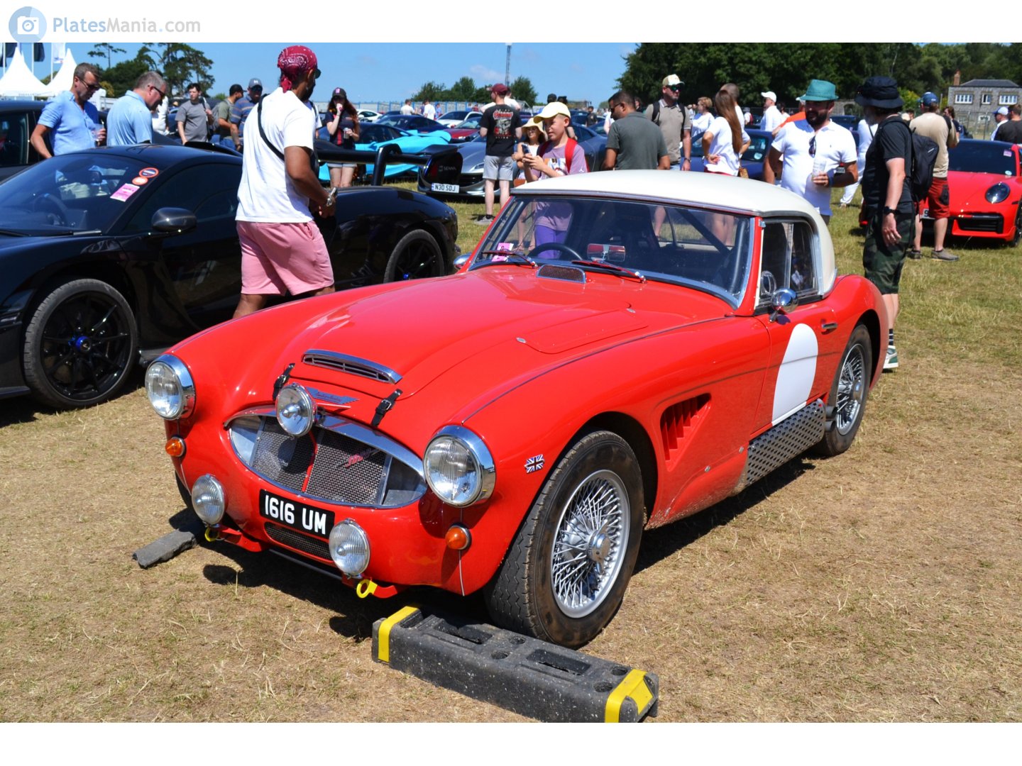 1616UM, Austin-Healey 100/3000 