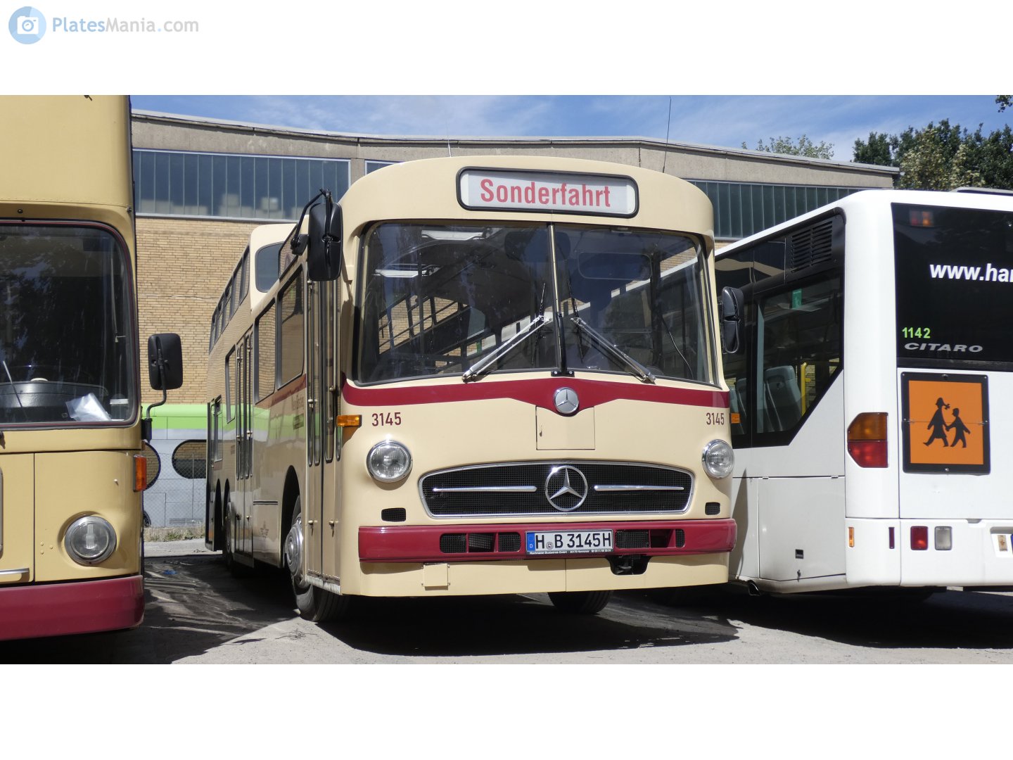 H B 3145 H, Mercedes-Benz O317 