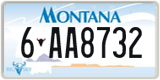 Montana, 1-AB1234 / 10-AB123