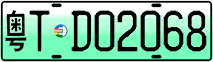 License plate of China, Electric vehicles