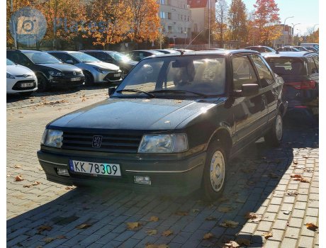 KK 78309, Peugeot 309