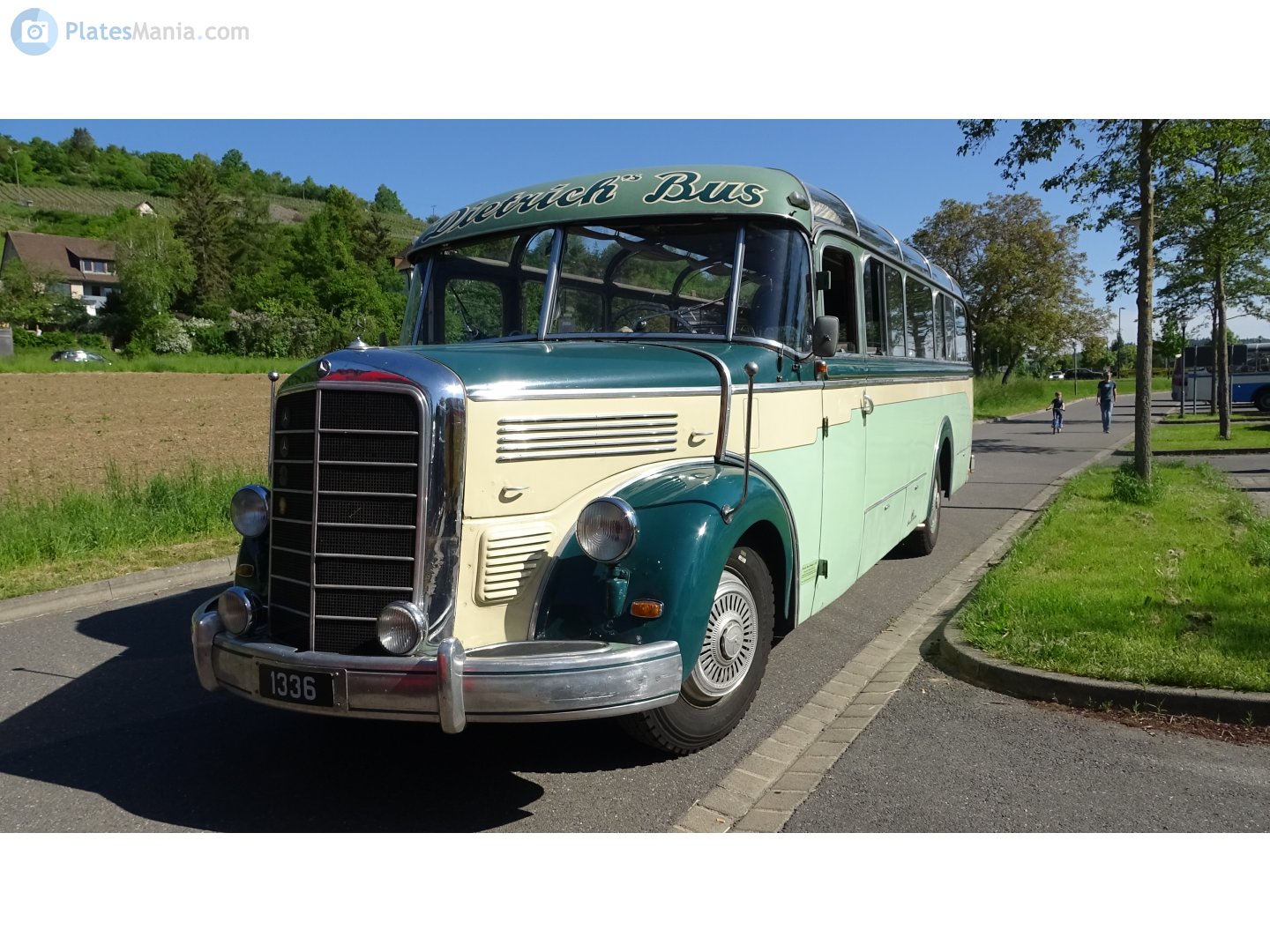 1336, Mercedes-Benz O3500 1st gen (312), 1949–1955
