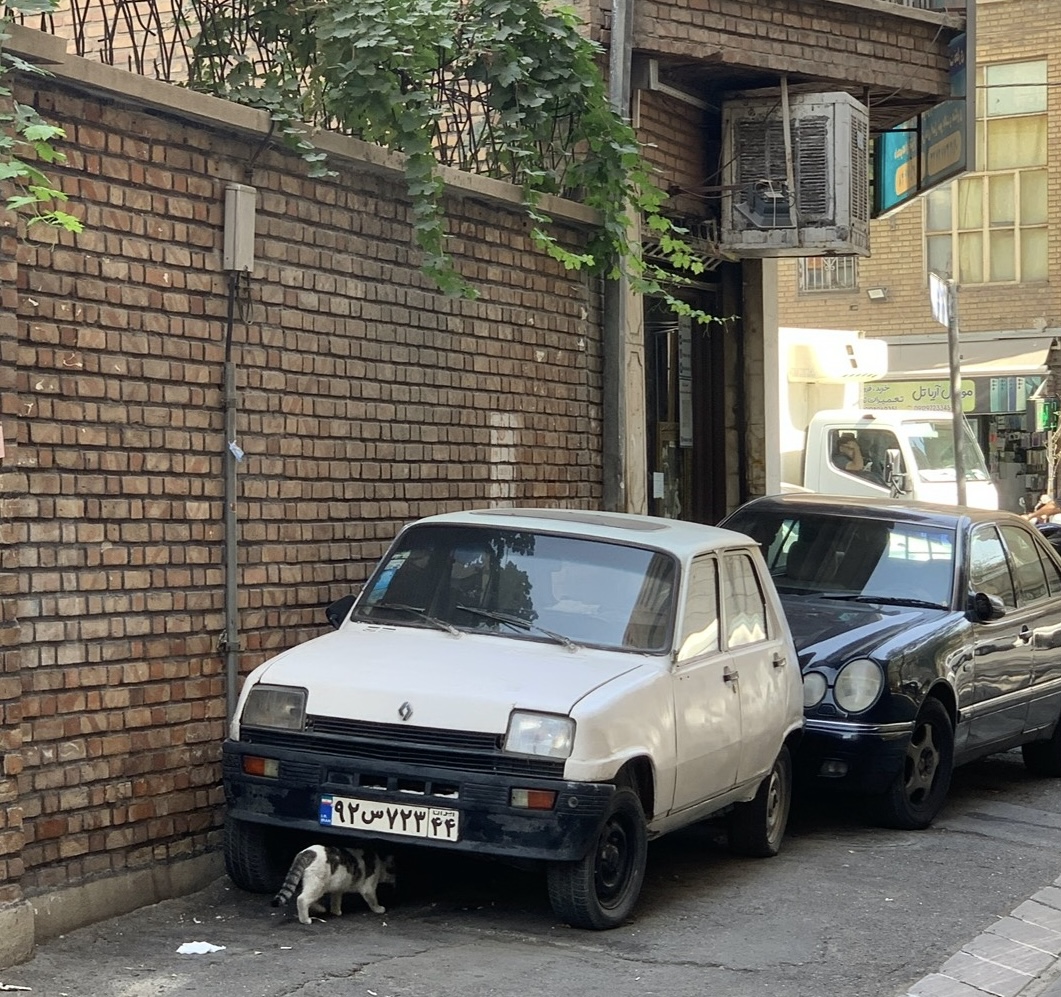۹۲س۷۲۳ ۴۴, Renault 5 1st gen 5-door Hatch (122), 1980–1985