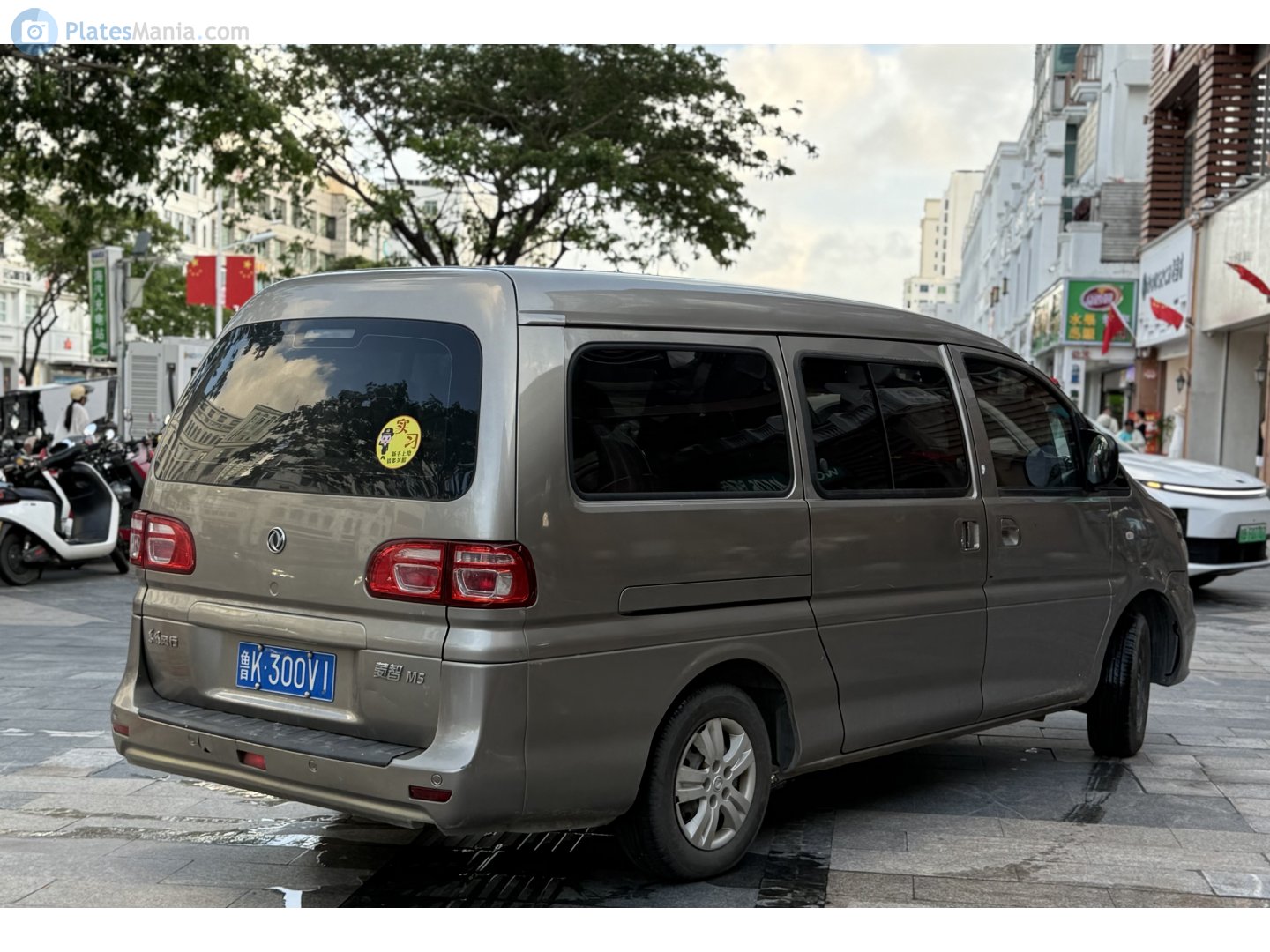 鲁K·300V1, DongFeng Fengxing Lingzhi 