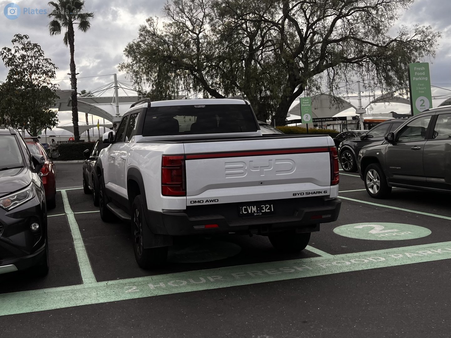 CVM-321, BYD Shark 1st gen (6), 2024–