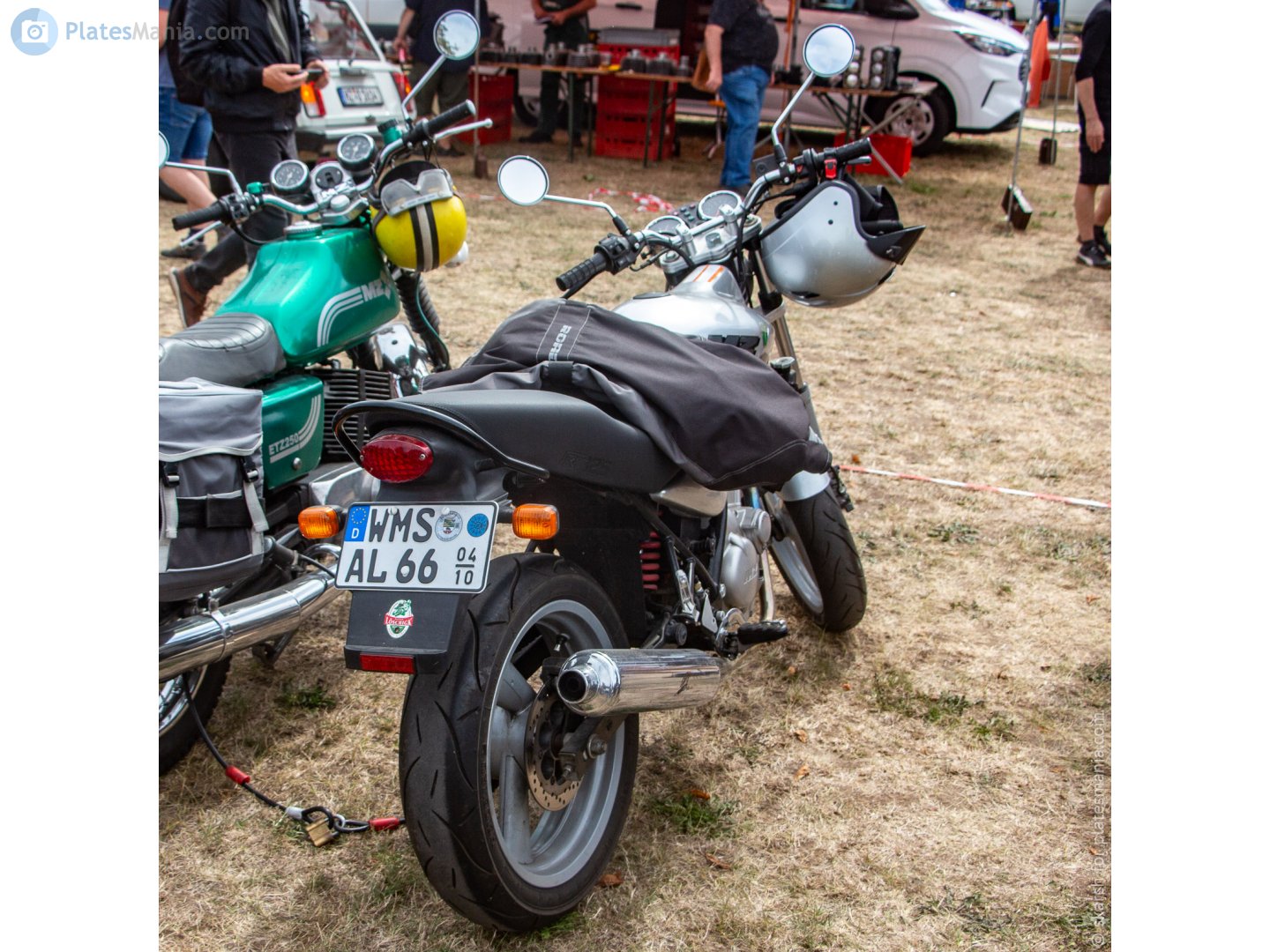 WMS AL 66 (04/10), MZ RT 