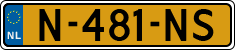 N-481-NS