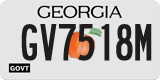 Georgia, Government (GV1234X)