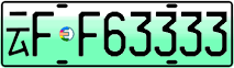 License plate of China, Electric vehicles