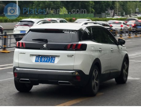 鄂A·89T1Z, Peugeot 4008