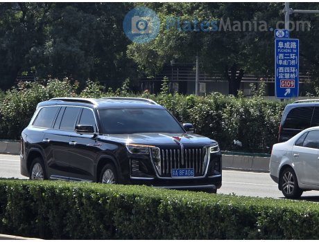 京A·8FA06, Hongqi LS7 (Guoyao)