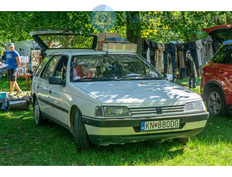 KN-880DG, Peugeot 405