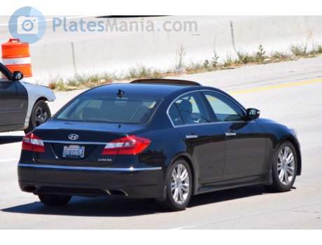 BUK0264, Hyundai Genesis