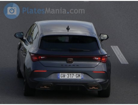 GW-317-GM, Cupra León