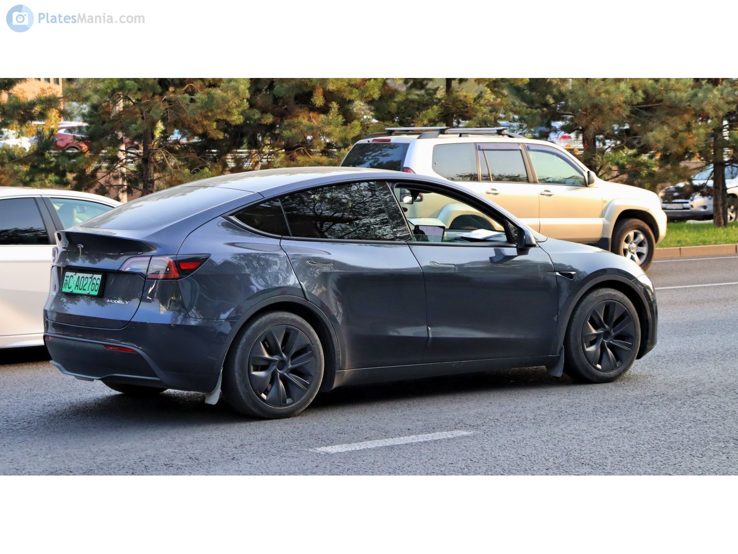 苏C·A02766, Tesla Model Y 1st gen (5YJY), 2020–2025