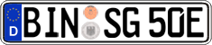 German license plate, Electric vehicles
