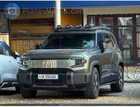 01 K 555 QA, Deepal (Shenlan) G318