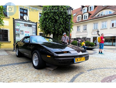 DW 39T, Pontiac Firebird