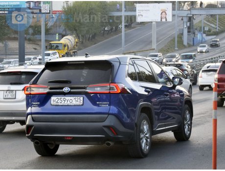 н259уо125, Toyota Wildlander