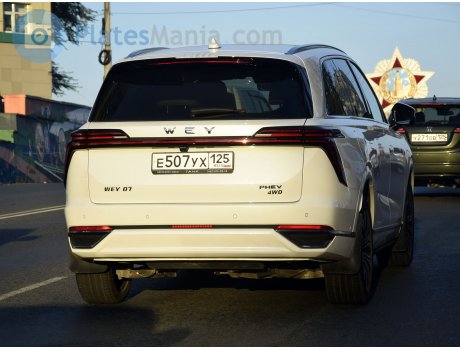 е507ух125, WEY 07 (Lanshan)