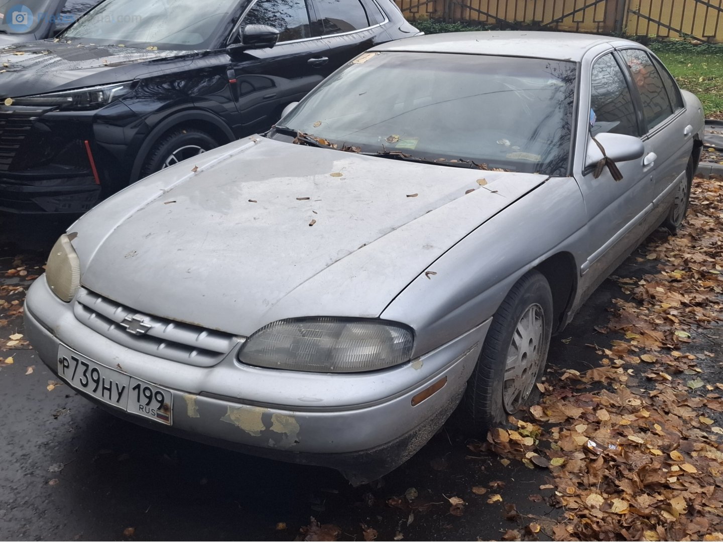 р 739 ну 199, Chevrolet Lumina 2nd gen (69; W-body), 1994–2001