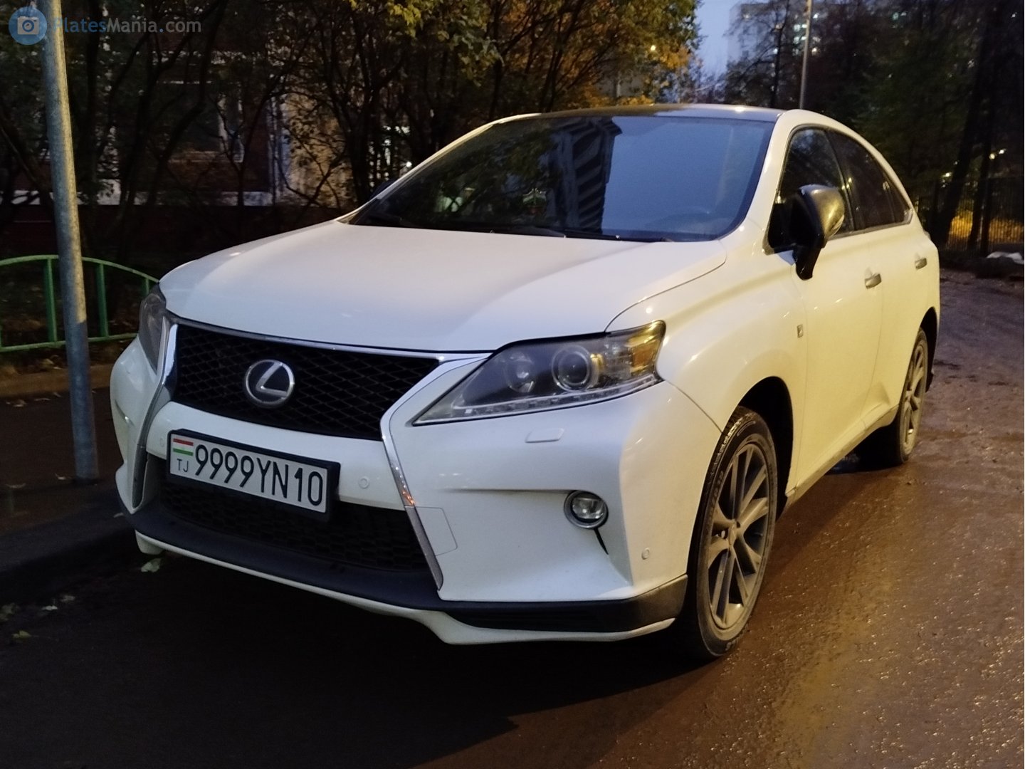 9999YN10, Lexus RX 3rd gen (AL10), facelift, 2012–2015