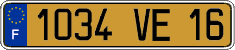 French license plate, FNI