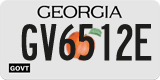 Georgia, Government (GV1234X)