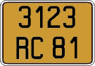 3123 RC 81