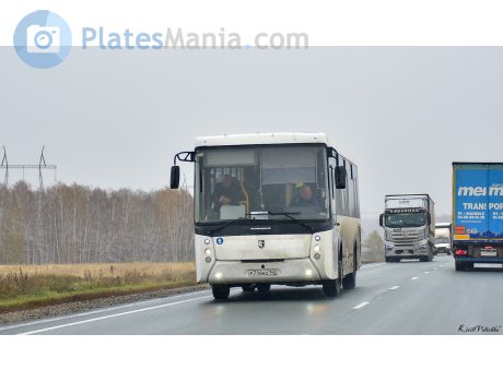 р714нс142, NefAZ (NZAS) 5299