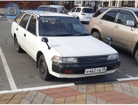 н462ув28, Toyota Corona