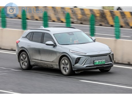 冀F·D93658, Buick Electra