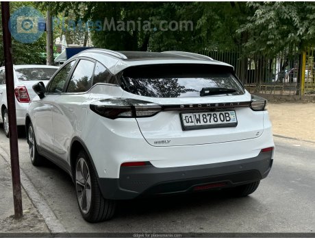 01 W 878 OB, Geely Geometry C