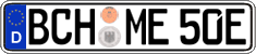 German license plate, Electric vehicles