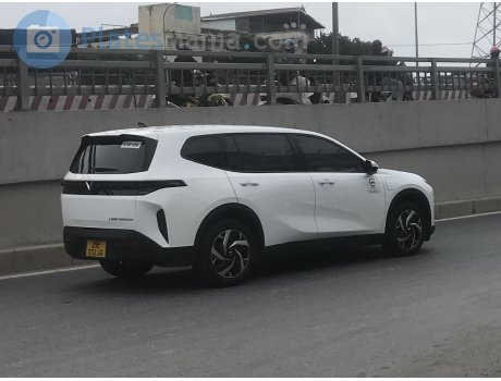 29E-023.46, VinFast Limo Green