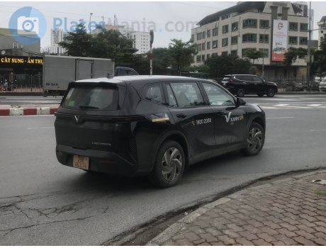 29E-463.74, VinFast Limo Green