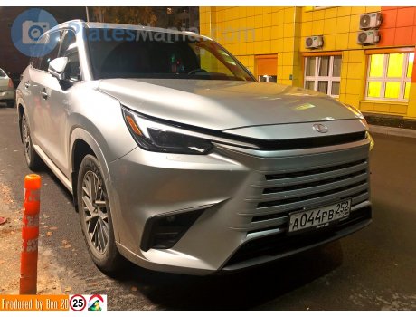 а044рв252, Lexus TX