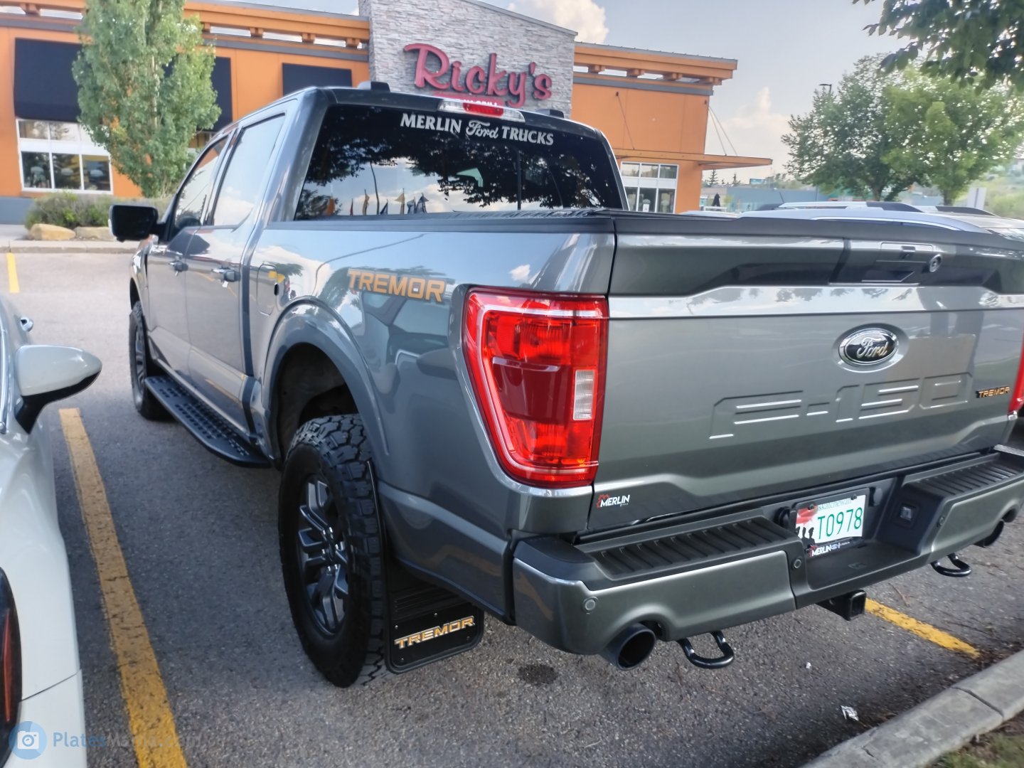 T0978, Ford F-150 14th gen (P702), 2020–