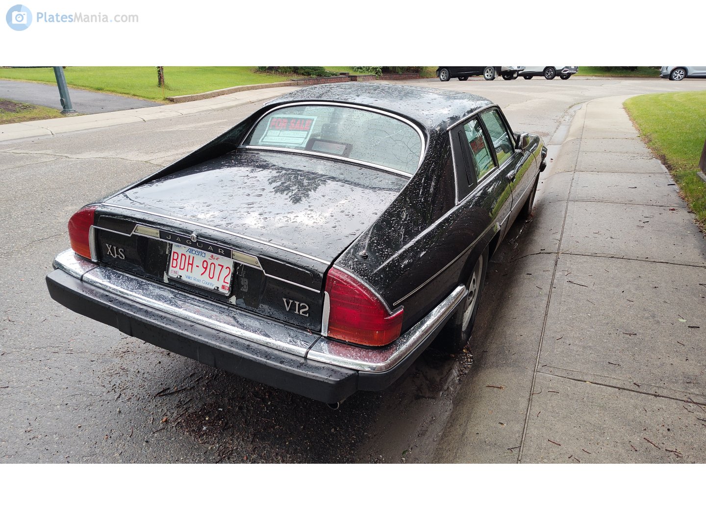 BDH-9072, Jaguar XJS XJ-S Coupé (Series 1/2), 1975–1991
