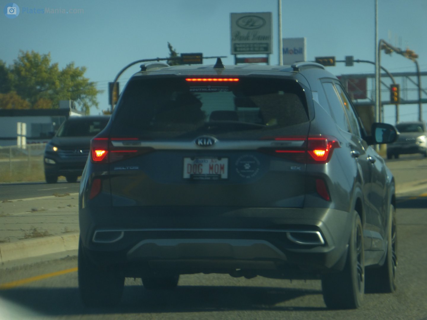 D0G M0M, Kia Seltos 1st gen (SP2/ SP2i), 2019–2022 (–2023 for IN-market)