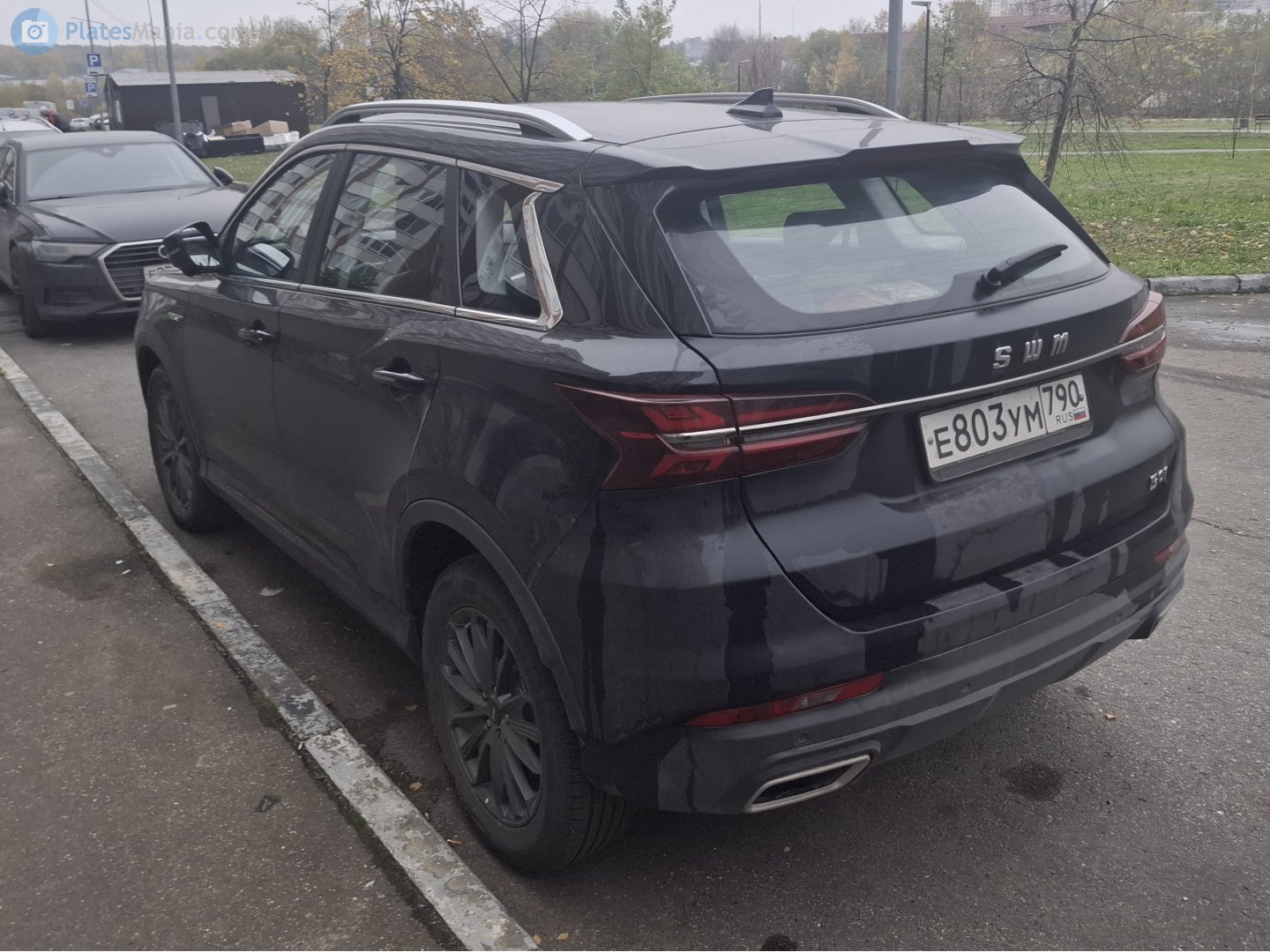 е 803 ум 790, SWM G01 