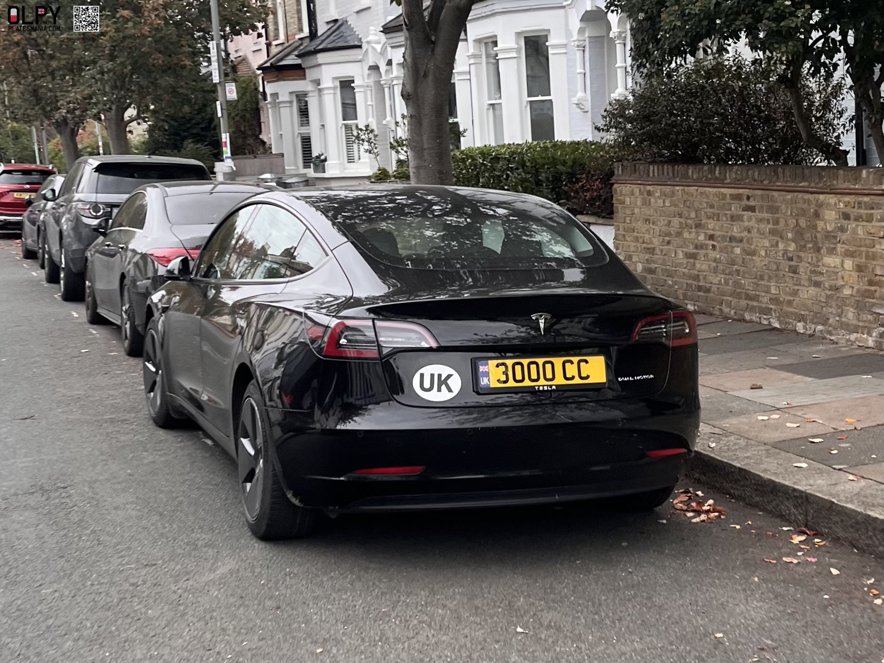 3000CC, Tesla Model 3 1st gen (5YJ3), 2017–2023